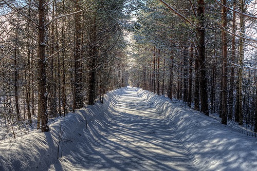 Zimski put u Finskoj - Sami via Flickr (CC BY-NC 2.0)
