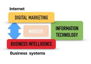Segmenti digitalnog biznisa (IT, poslovna inteligencija (BI), digitalni marketing)